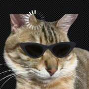 ヒメ日記 2025/05/29 13:05 投稿 月丘 光莉 30代40代50代と遊ぶなら博多人妻専科24時