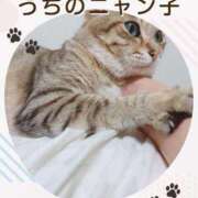 ヒメ日記 2025/06/12 10:38 投稿 月丘 光莉 30代40代50代と遊ぶなら博多人妻専科24時