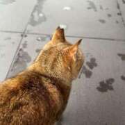 ヒメ日記 2025/06/16 09:12 投稿 月丘 光莉 30代40代50代と遊ぶなら博多人妻専科24時