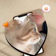 ヒメ日記 2025/08/16 21:55 投稿 月丘 光莉 30代40代50代と遊ぶなら博多人妻専科24時