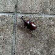 ヒメ日記 2025/08/24 08:55 投稿 月丘 光莉 30代40代50代と遊ぶなら博多人妻専科24時