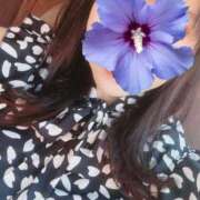 ヒメ日記 2025/09/09 11:46 投稿 月丘 光莉 30代40代50代と遊ぶなら博多人妻専科24時