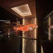 ヒメ日記 2025/09/12 22:31 投稿 月丘 光莉 30代40代50代と遊ぶなら博多人妻専科24時