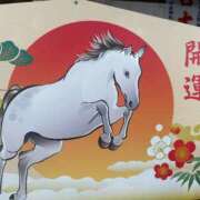 ヒメ日記 2026/01/01 20:45 投稿 月丘 光莉 30代40代50代と遊ぶなら博多人妻専科24時