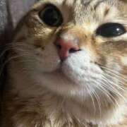 ヒメ日記 2026/01/05 12:50 投稿 月丘 光莉 30代40代50代と遊ぶなら博多人妻専科24時