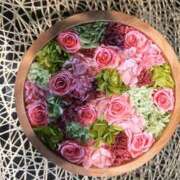 ヒメ日記 2026/01/12 20:59 投稿 月丘 光莉 30代40代50代と遊ぶなら博多人妻専科24時