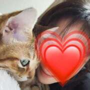 ヒメ日記 2026/02/12 22:53 投稿 月丘 光莉 30代40代50代と遊ぶなら博多人妻専科24時