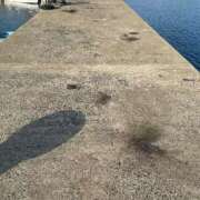 ヒメ日記 2026/02/23 10:24 投稿 月丘 光莉 30代40代50代と遊ぶなら博多人妻専科24時