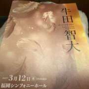 ヒメ日記 2026/03/13 09:08 投稿 月丘 光莉 30代40代50代と遊ぶなら博多人妻専科24時