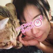 月丘 光莉 こんばんは 30代40代50代と遊ぶなら博多人妻専科24時