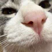 ヒメ日記 2025/01/30 07:38 投稿 なる アロー