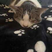 ヒメ日記 2025/01/31 09:36 投稿 なる アロー