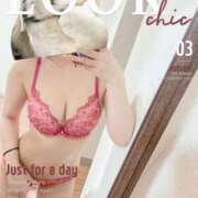 ヒメ日記 2025/04/03 13:51 投稿 なる アロー