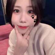 ヒメ日記 2025/04/18 07:43 投稿 なる アロー