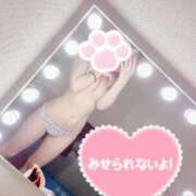 ヒメ日記 2025/04/29 14:27 投稿 なる アロー