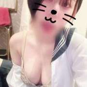 ヒメ日記 2025/05/05 07:51 投稿 なる アロー