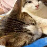 ヒメ日記 2025/09/04 15:30 投稿 なる アロー