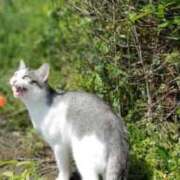 ヒメ日記 2025/09/04 19:19 投稿 なる アロー