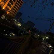 ヒメ日記 2025/10/12 09:51 投稿 なる アロー