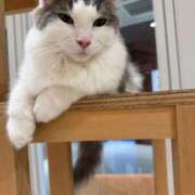 ヒメ日記 2025/10/13 06:29 投稿 なる アロー