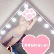 ヒメ日記 2025/12/27 11:57 投稿 なる アロー