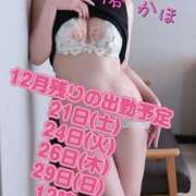 ヒメ日記 2024/12/20 14:59 投稿 桐谷かほ おもてなし妻