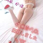 ヒメ日記 2024/12/21 12:02 投稿 桐谷かほ おもてなし妻