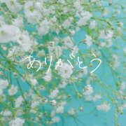 ヒメ日記 2025/07/28 13:06 投稿 べる ぼくらのデリヘルランドin久喜店