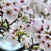 ヒメ日記 2026/03/26 20:04 投稿 なるみ 佐久上田人妻隊