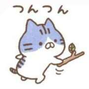 ヒメ日記 2025/04/06 18:07 投稿 りお ミスミセス