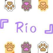 ヒメ日記 2025/05/20 18:17 投稿 りお ミスミセス