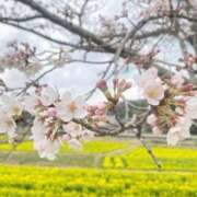 ヒメ日記 2025/03/27 15:17 投稿 ゆい ミスミセス