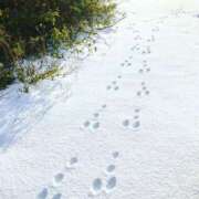 ヒメ日記 2025/04/03 12:07 投稿 ゆい ミスミセス