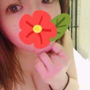 ヒメ日記 2025/01/05 07:06 投稿 横山もえ ニューヨーカー