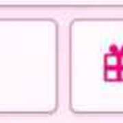 ヒメ日記 2025/02/20 10:24 投稿 横山もえ ニューヨーカー