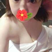 ヒメ日記 2025/04/01 08:19 投稿 横山もえ ニューヨーカー