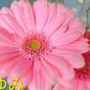 ヒメ日記 2025/10/16 08:27 投稿 さゆみ 出逢い