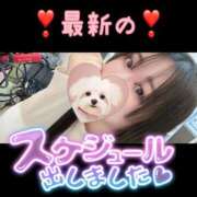 ヒメ日記 2025/03/07 18:29 投稿 ひなた 西船巨乳ぽっちゃり　乳神さま