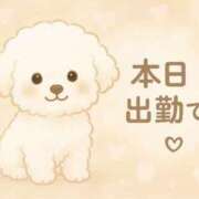 ヒメ日記 2025/07/27 03:09 投稿 ひなた 西船巨乳ぽっちゃり　乳神さま