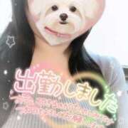 ヒメ日記 2025/09/14 12:29 投稿 ひなた 西船巨乳ぽっちゃり　乳神さま