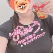 ヒメ日記 2025/09/27 11:29 投稿 ひなた 西船巨乳ぽっちゃり　乳神さま