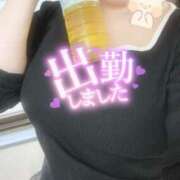 ヒメ日記 2025/10/11 11:29 投稿 ひなた 西船巨乳ぽっちゃり　乳神さま