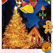 ヒメ日記 2024/12/24 14:47 投稿 あやか 出逢い