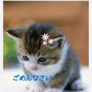 ヒメ日記 2025/01/03 20:47 投稿 あやか 出逢い