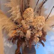 ヒメ日記 2025/03/12 21:57 投稿 あやか 出逢い