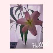 ヒメ日記 2025/04/15 15:57 投稿 あやか 出逢い