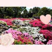 ヒメ日記 2025/05/03 22:24 投稿 あやか 出逢い