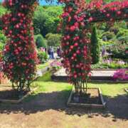 ヒメ日記 2025/05/08 19:57 投稿 あやか 出逢い