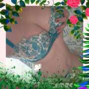 ヒメ日記 2025/09/06 19:12 投稿 あやか 出逢い