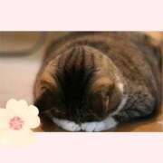 ヒメ日記 2025/10/22 09:57 投稿 あやか 出逢い